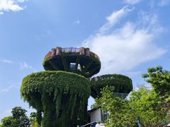 -芒洲湿地公园
