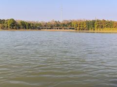 -上海海湾国家森林公园