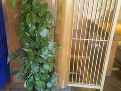 -老雒阳面馆·水席(洛宁高速路口店)