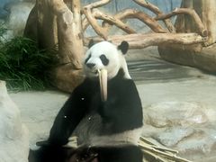 -海南热带野生动植物园