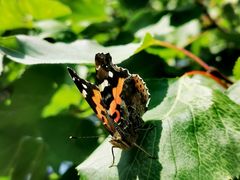 -长春公园(普阳街道)