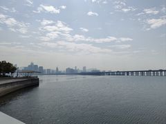 -宝安西湾红树林湿地公园