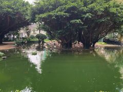 -九龙公园