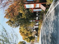 -东梓关景区村庄