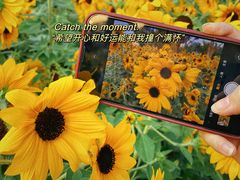 -海心沙亚运公园