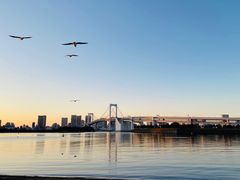 -台场海滨公园船码头