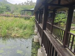 -西山人家·二十年老字号农家菜(旺山店)