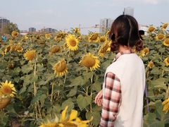 -映月湖中央公园