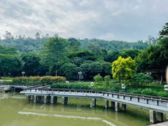 -顺峰山公园