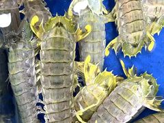 -渔民新村(番禺总店)