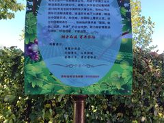 -北京张裕爱斐堡酒庄