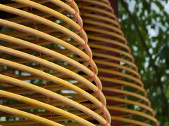 -凤凰山公园-龙王古庙