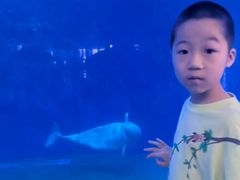 -泉城欧乐堡海洋极地世界