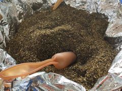 -中华茉莉园