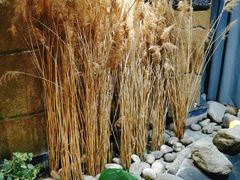 -淀里船宴(裕华东路店)