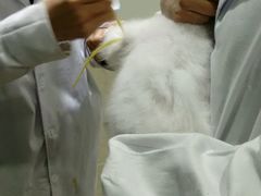 -暖阳宠物医院·犬猫康复中心·骨科