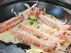 -蚝堡·生蚝海鲜烧烤物种起源•海肠捞饭(刘公岛店)