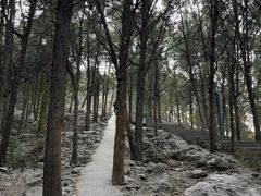 -云龙山