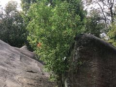 -火炉山森林公园