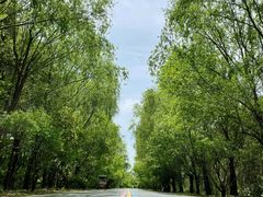 -同里国家湿地公园