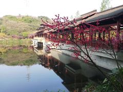 -重庆彩云湖湿地公园