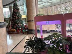 -南京维景国际大酒店咖啡厅