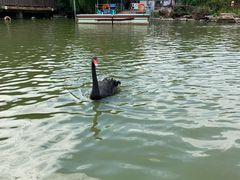 -无锡动物园·太湖欢乐园