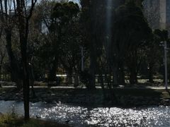 -洱海月湿地公园