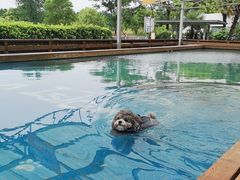 -太阳岛度假酒店