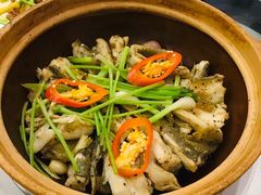 招牌焗多宝鱼-美极鲜食坊(宝安南路店)