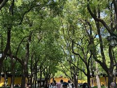 -西林禅寺