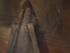 -长兴岛郊野公园农场食堂