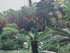 -晓港公园