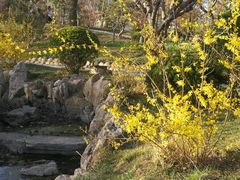 -桃花堤公园