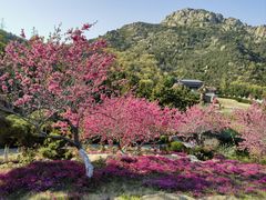 -石岛赤山风景区