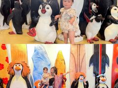 -芜湖新华联大白鲸海洋公园