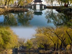 -颐和园