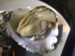 -千岛蚝高压锅生蚝·人参火锅(白云万达店)