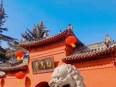 -洛阳白马寺