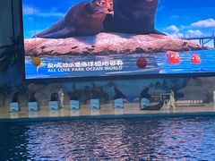 -泉城欧乐堡海洋极地世界