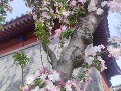 -北京鲁迅博物馆(北京新文化运动纪念馆鲁博馆区)