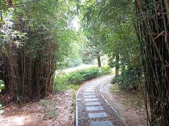 -白马涧龙池景区