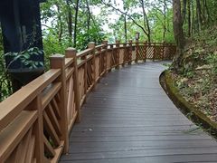 -神光山国家森林公园