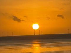 -南汇嘴观海公园