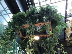 -陶苏·品味融合川菜(龙湖源著天街店)