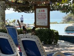 -三亚亚龙湾天域度假酒店