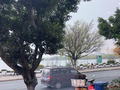 -野菌皇海景野生菌火锅(滨海大道店)