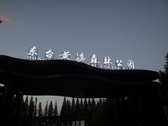 -黄海国家森林公园