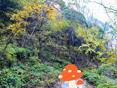 -黑龙潭风景区