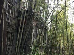 -老张烤羊(王哥庄店)